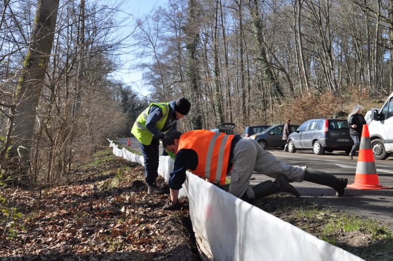 2013 02 25 Montage du crapaudrome 29